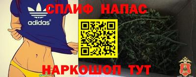 бошки Будённовск