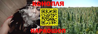 бошки Будённовск